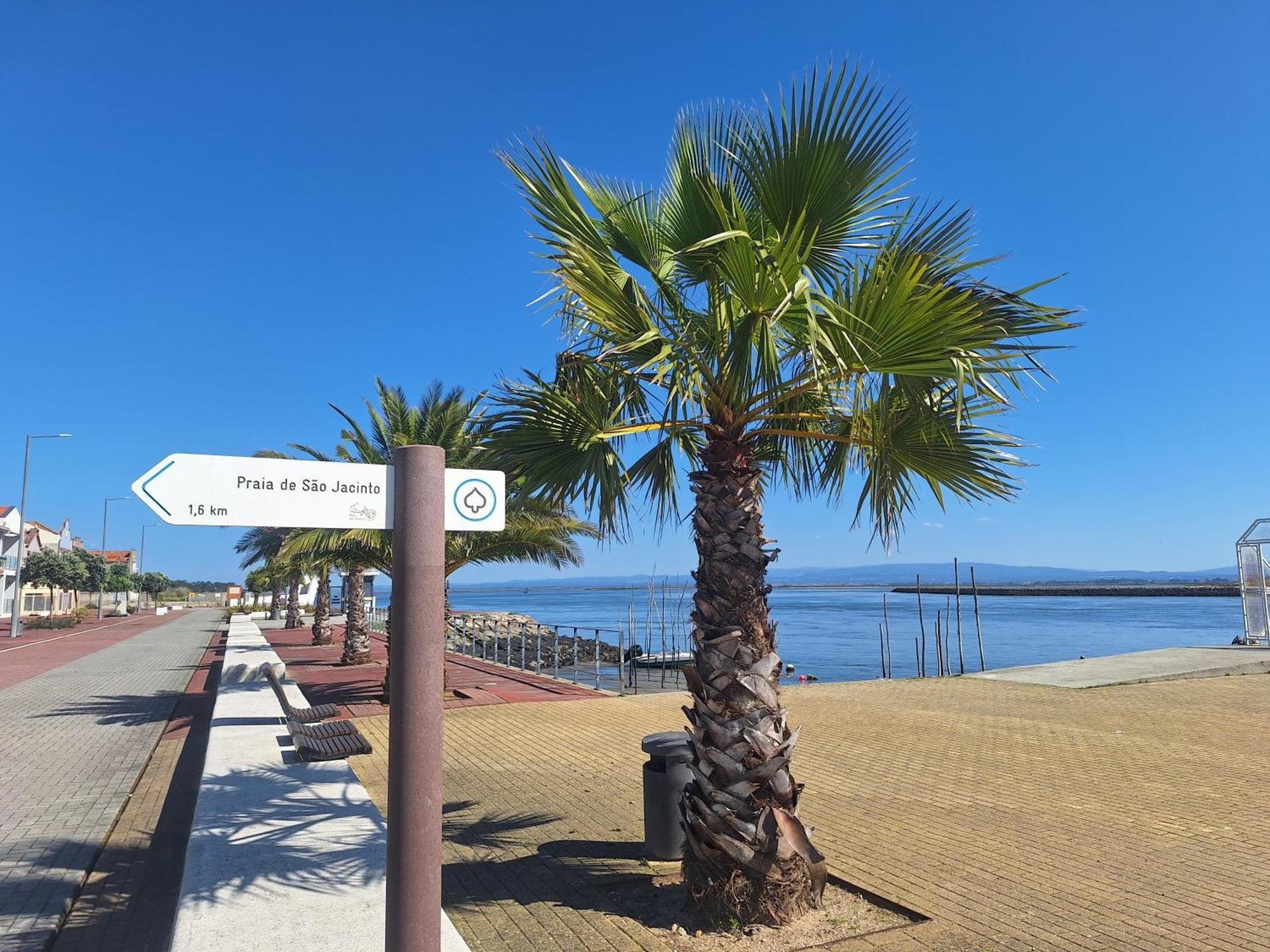 Apartment Close To The Ria De Aveiro, Sao Jacinto Exterior foto