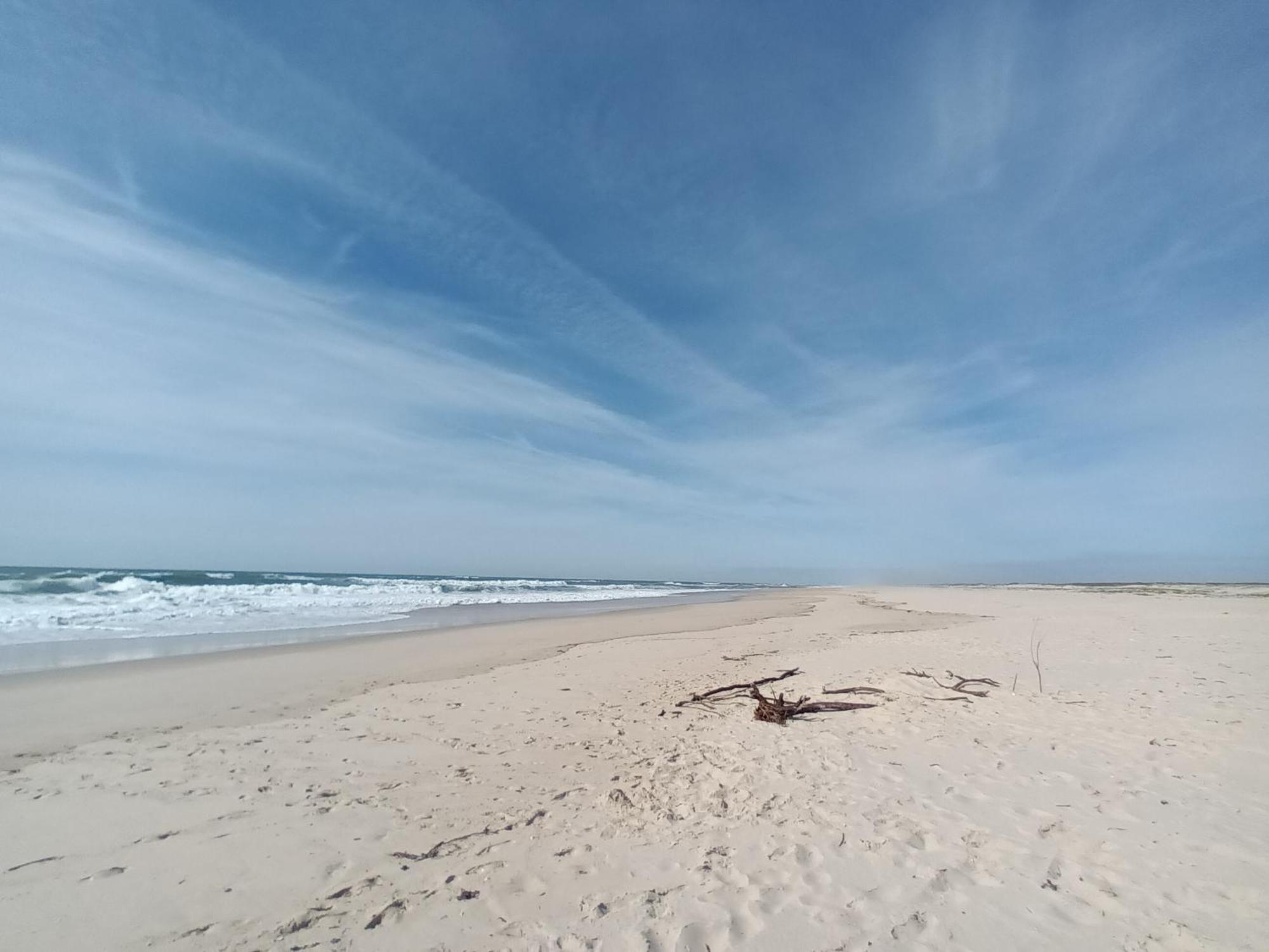 Apartment Close To The Ria De Aveiro, Sao Jacinto Exterior foto